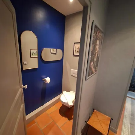 Maison Bacchus 31 بيت ضيافة Buzet-sur-Tarn