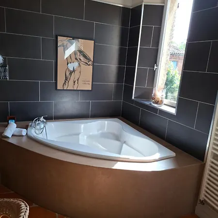 Maison Bacchus 31 بيت ضيافة Buzet-sur-Tarn